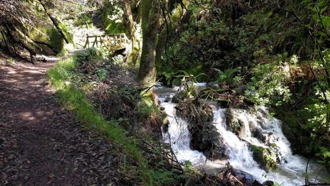 steep ravine trail