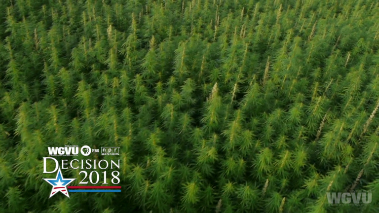 Decision 2018 - Recreational-Use Marijuana
