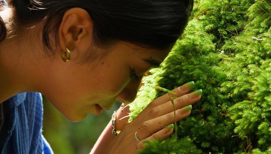 Forests
