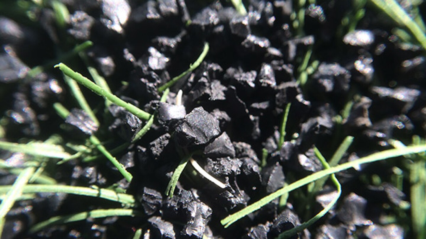 Crumb rubber mixed in with artificial grass at a public park in Los Angeles. | Photo: Zach Behrens/KCET