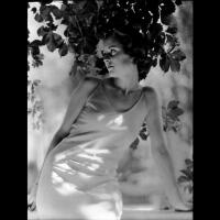 Dorothea Lange's Portrait Studio in San Francisco