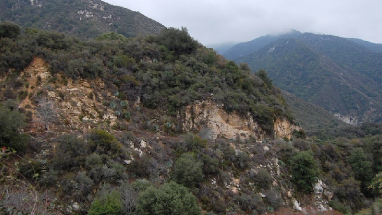 wilsonhike