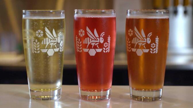 Three glasses of differently colored mead from Bløm Meadworks.