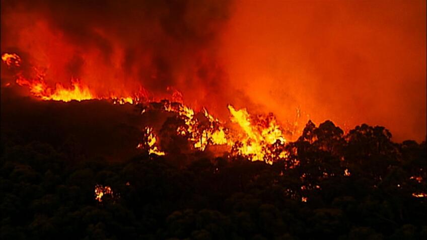 Survivors of the Firestorm