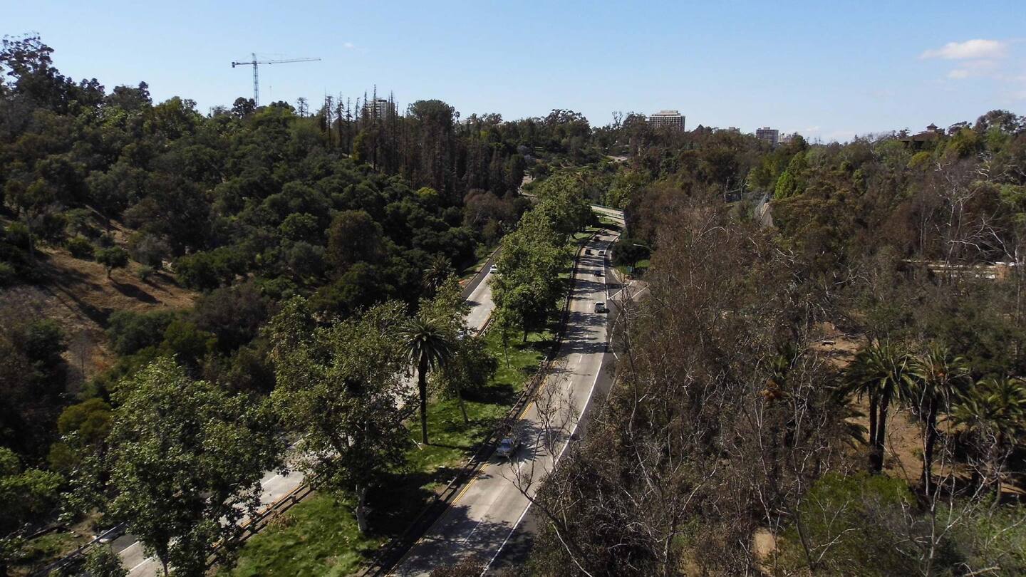 balboa park