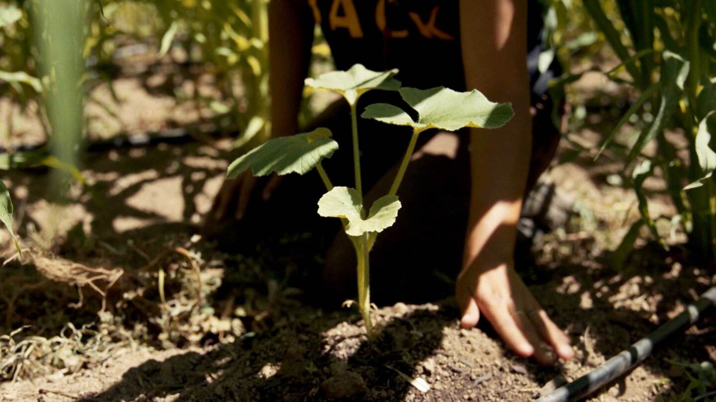 tending-nature_cultural-conservancy-plant.jpg