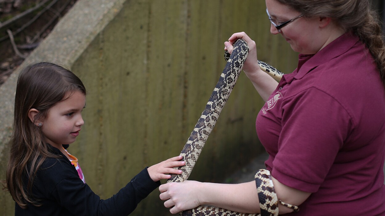 A Memphis Zoo zookeeper holds a snake. | Reel South