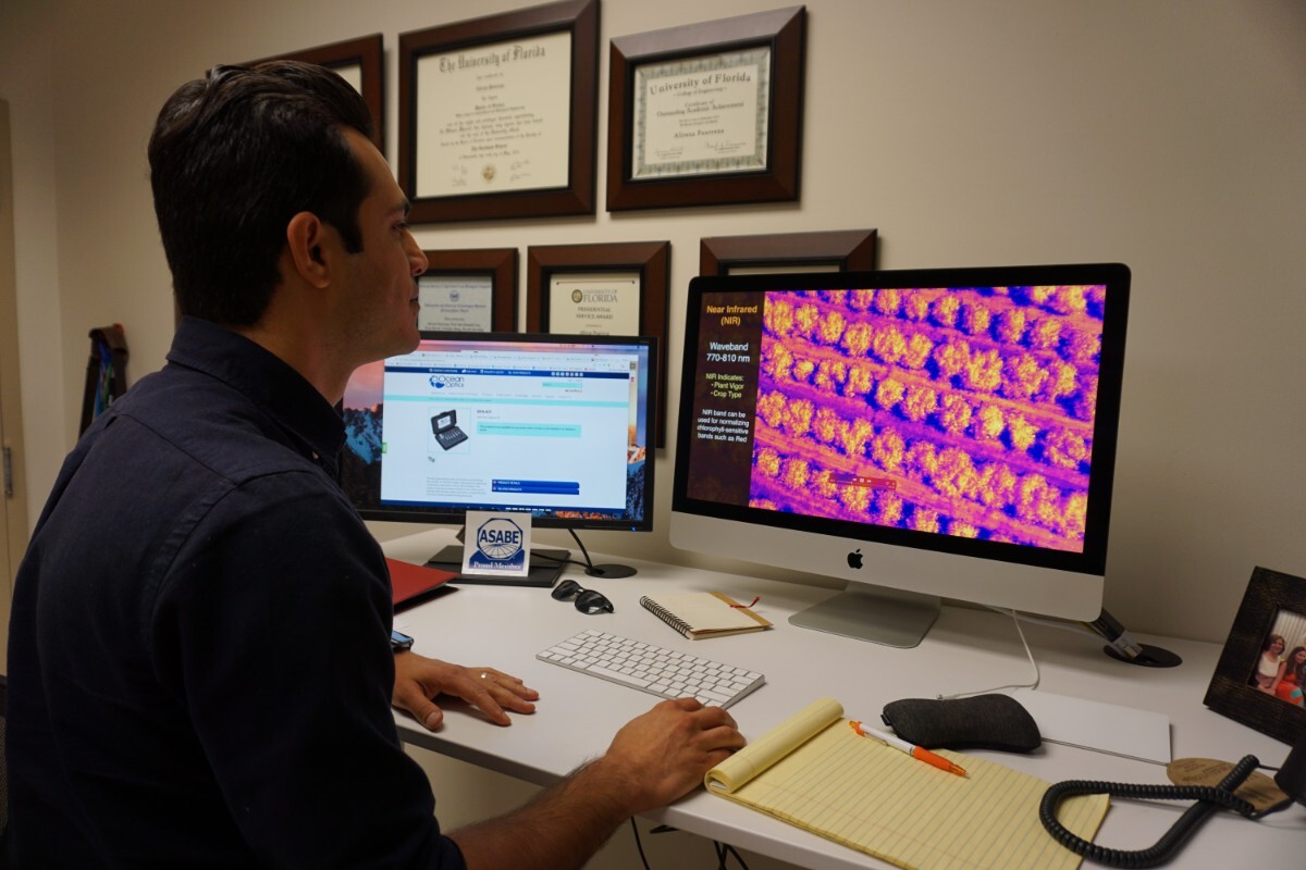 Ali Pourreza views the virtual orchard on his computer. | Ali Pourreza courtesy of UC Agriculture and Natural Resources