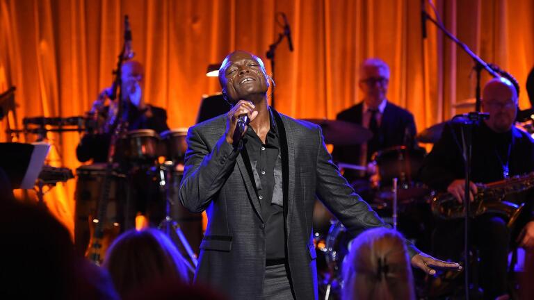 Seal in Concert - Preview