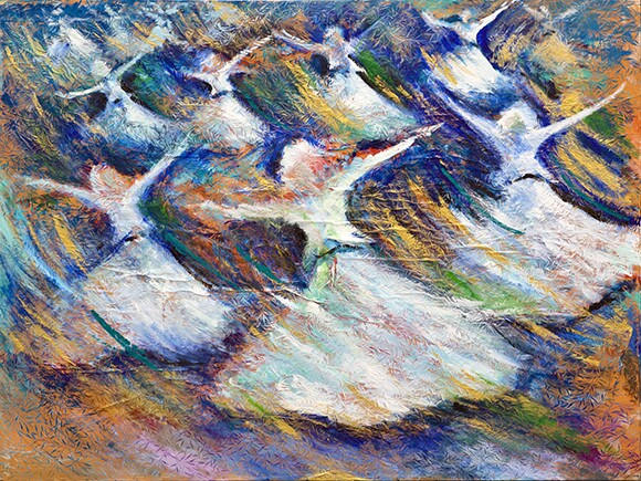 reza_5
