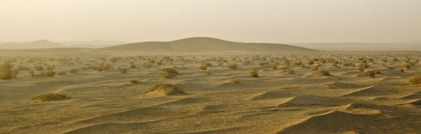 In the Gobi Desert | Photo: Chemophilic, some rights reserved