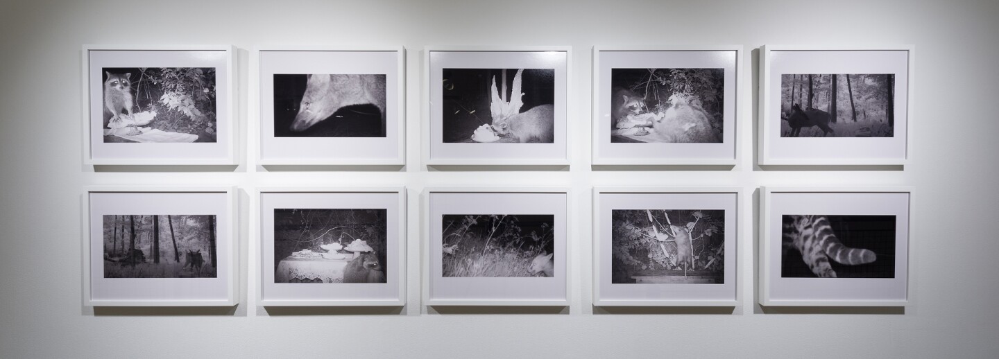 Dana Sherwood, C-Prints, 2016
