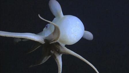 Gaining access to the deep sea 
