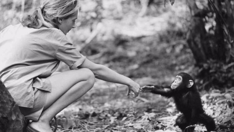 Jane Goodall