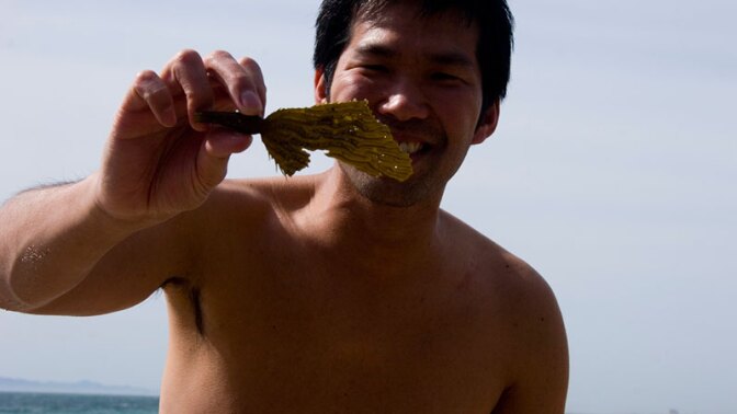 Man on beach admiring kelp
