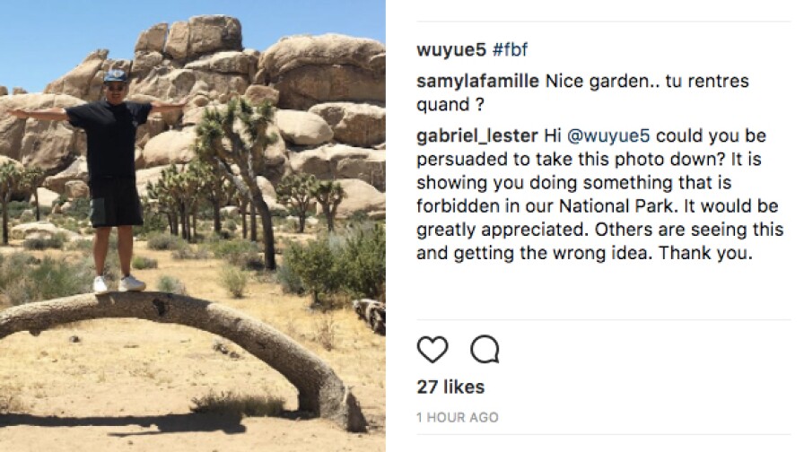 Tourist stands on Joshua tree, gets told | Image: via Instagram