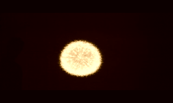 JohnCarpenter_Gif.gif