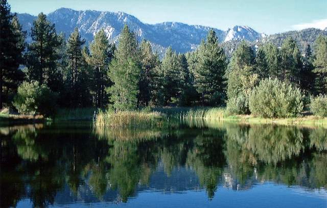 Fleming Ranch in the San Bernardino National Forest | Photo: Maria Grants/Courtesy Trust for Public Lands