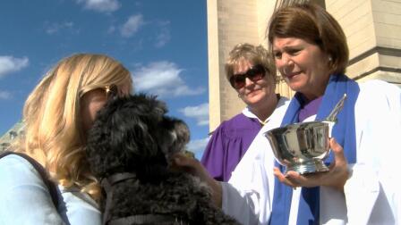 Blessing of the Animals