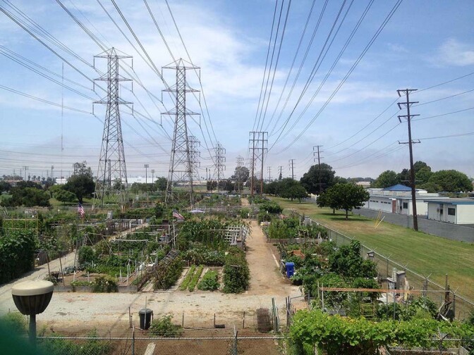 Columbia Park community garden in Torrance