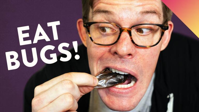 I Tried Eating Bugs… Here's What I Learned