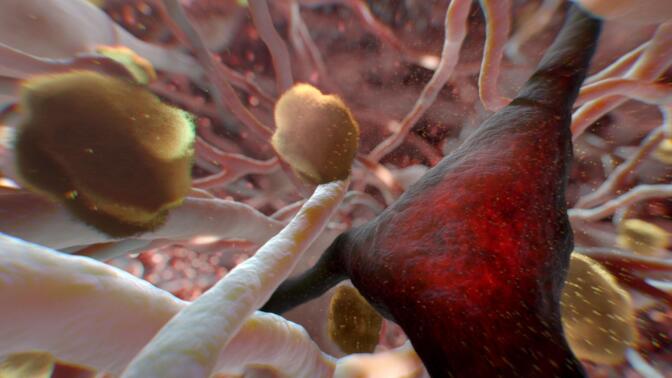 A simulated image of neurons in the brain.