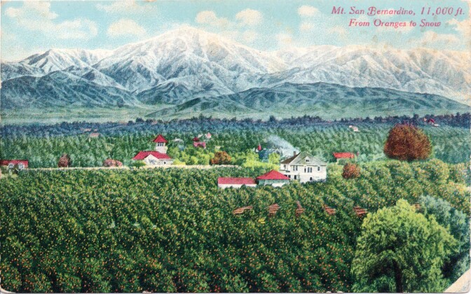 Mt. San Bernardino, 11,000 ft. – From Oranges to Snow