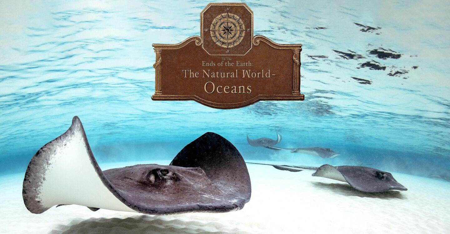 To the Ends of the Earth: The Natural World - Oceans