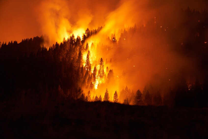 Bright orange and red flames consume evergreen trees growing on a mountaintop as the dark scene becomes consumed in smoke