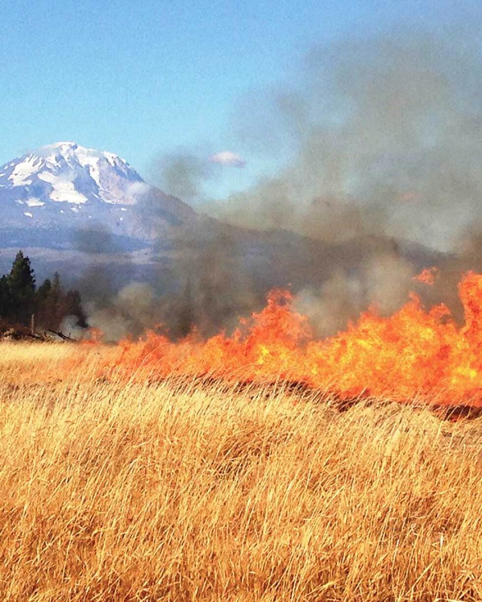 firefighter lighting the final edige of a prescribed fire in Washington