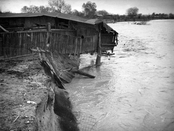 This hog barn is half hanging over the river, ready to collapse after the bank washed away below it. This could be either the San Gabriel River or the RÃo Hondo, both of which flooded in 1938 | Courtesy of the Los Angeles Public Library