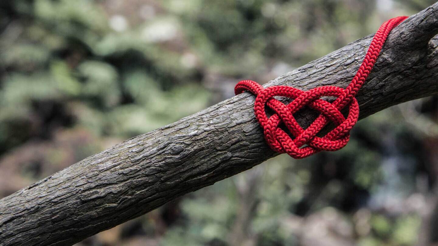 A heart-shaped knotted string on a branch | Will O / Unsplash