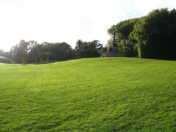 Kill-Your-Lawn-1-24-14-thumb-600x450-67535