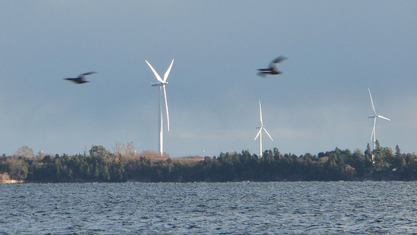 audubon-and-wind-turbines-2013-12-13-thumb-600x338-65825