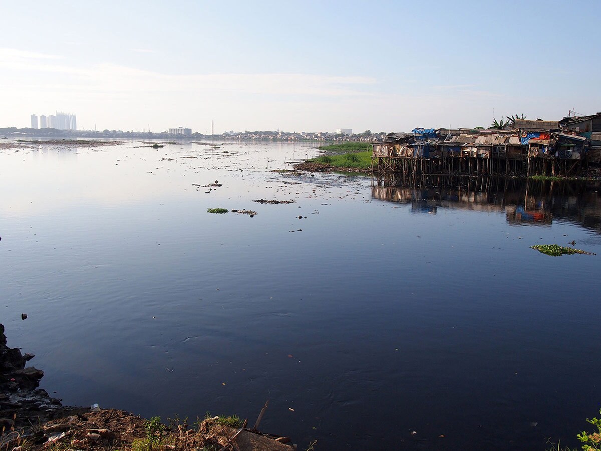 Pluit Reservoir in North Jakarta, July 2013. | Kian Goh