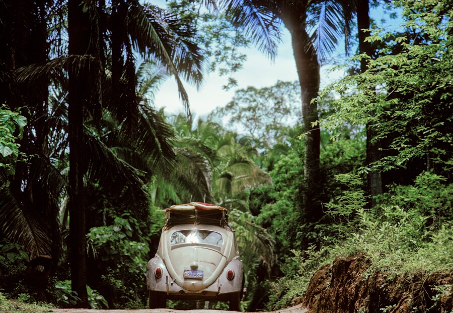 Craig Peterson Mexico