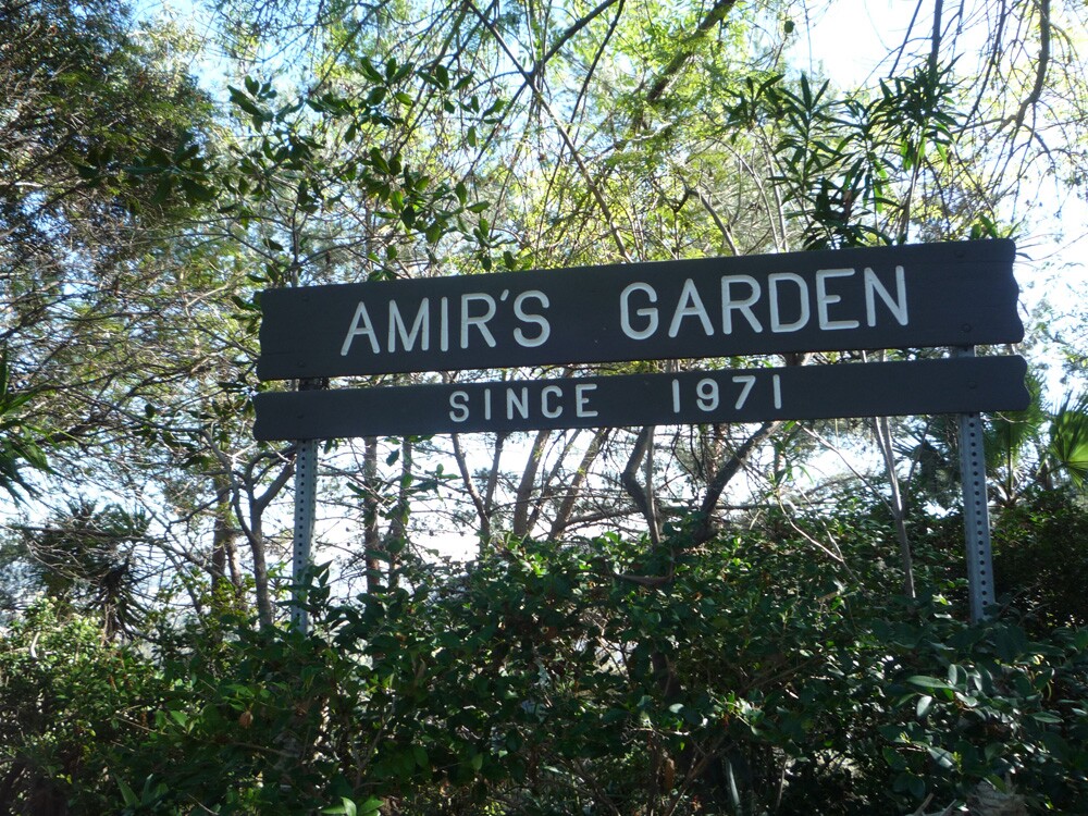 Amir's Garden - Griffith Park