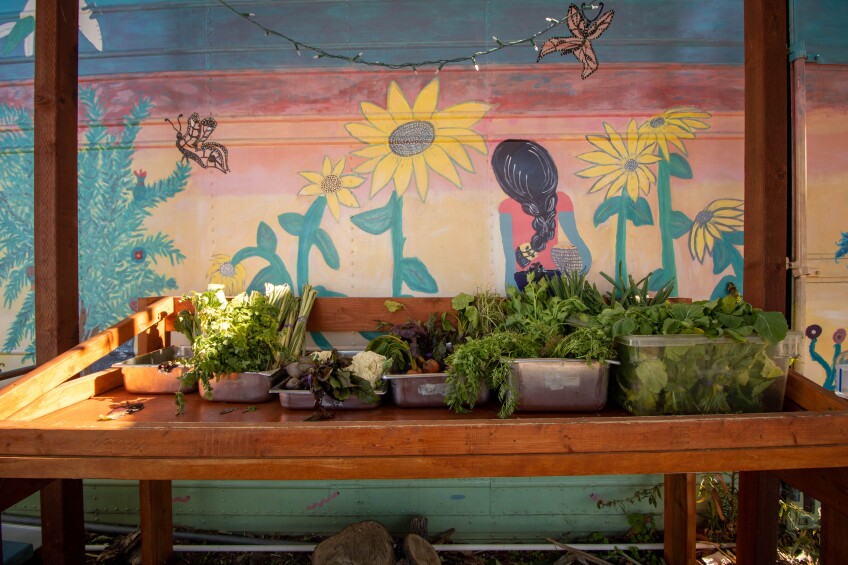 Metal and plastic bins full of green produce like spinach, lemongrass, green onion and carrots sit out on a wooden table outdoors. The produce is shaded. Behind is a colorful mural of sunflowers and butterflies with a woman with long, black braided hair looking off to a sunset.