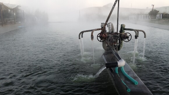 There are eight spigots shooting 100-degree spring water into the pool at what the locals call Franklin Pond. In the winter, seen here, the hot water steams into the cold, winter air. | Photo: Yvonne Willis.