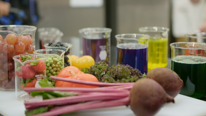 Vegetables for Beyond Meat patties | Still from "Broken Bread" Future