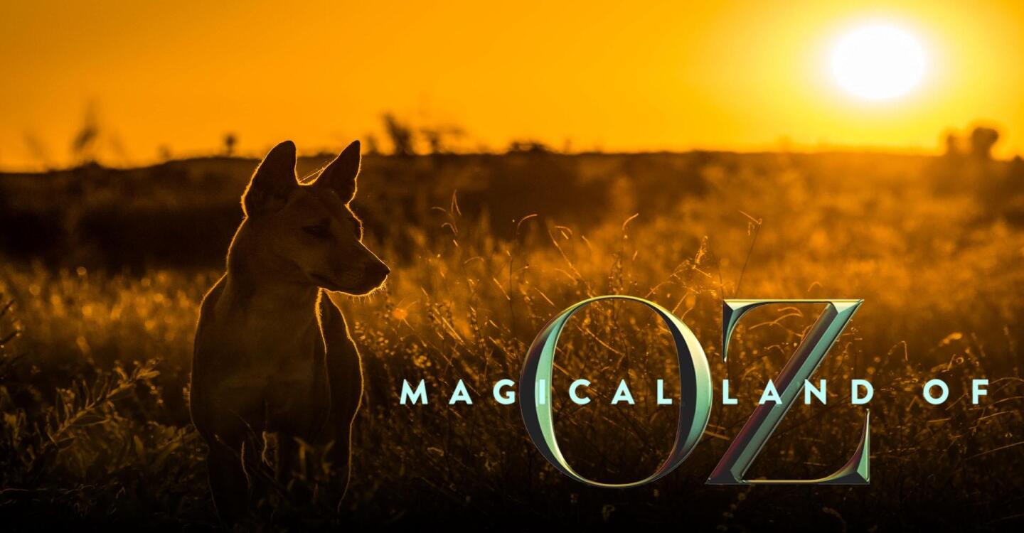 Magical Land of Oz