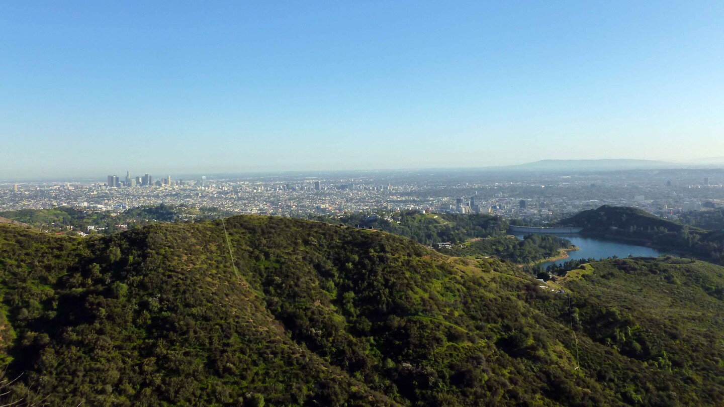 mt. lee