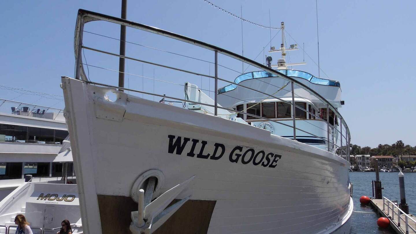 wild goose
