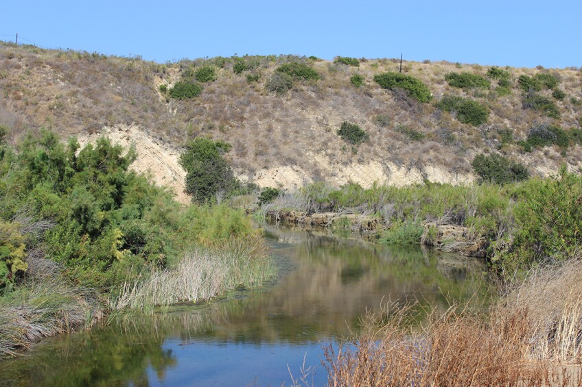 Stream flowing in the Santa Ynez mountains. | Spencer Robins