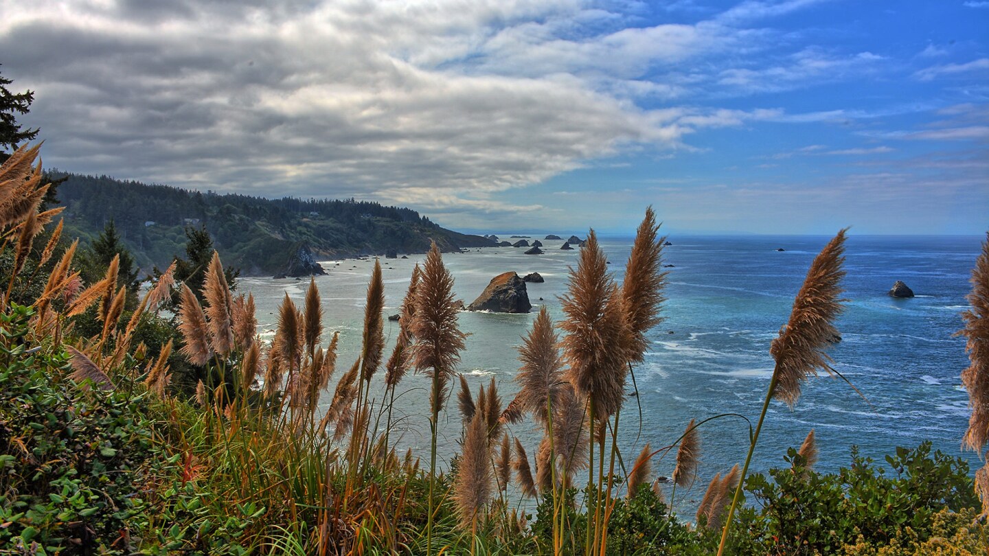 patrick's point state park