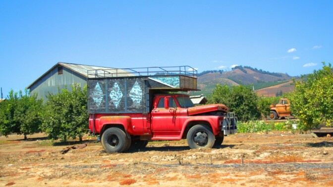 Camarillo orchard | William Garrett/Creative Commons