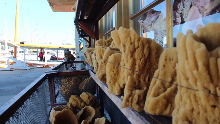 720: Tarpon Springs Sponge Docks