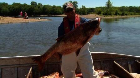 An Old Fashioned Strategy to Keep Asian Carp at Bay