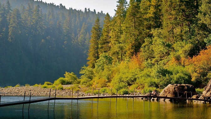 courtesy of jedediah smith redwoods state park