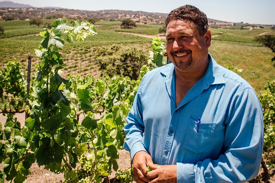 The Grape Whisperer (7)